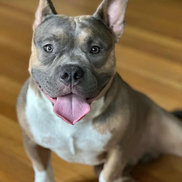 ✨LIKE FOR LIVE SHOW NOTIFICATION✨ - Picture 13 of 15